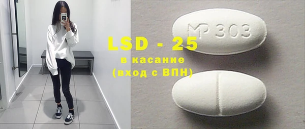 PSILOCYBIN Алзамай