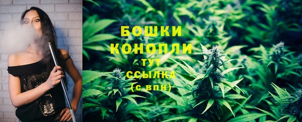 PSILOCYBIN Алзамай