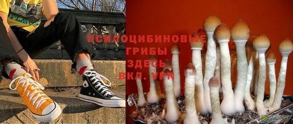 стафф Алексеевка