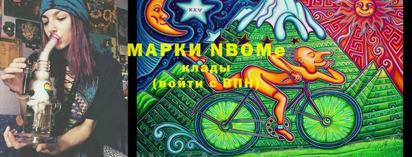PSILOCYBIN Алзамай