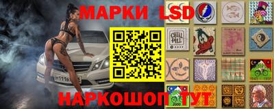 дживик Моздок