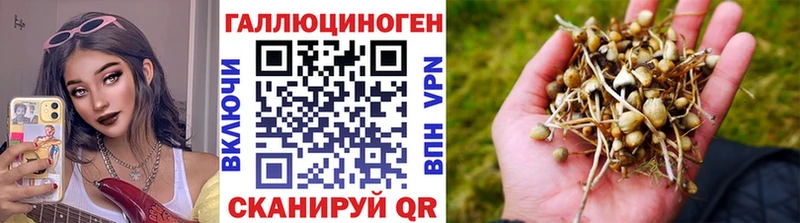Галлюциногенные грибы прущие грибы  гидра сайт  Похвистнево 