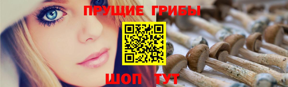 Галлюциногенные грибы Magic Shrooms Похвистнево